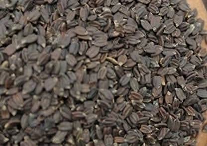 Maha beera seeds