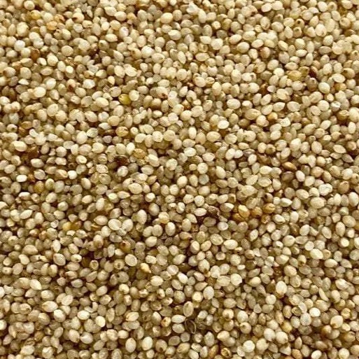 Barnyard Whole 500gm millet