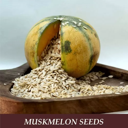 Muskmelon seeds