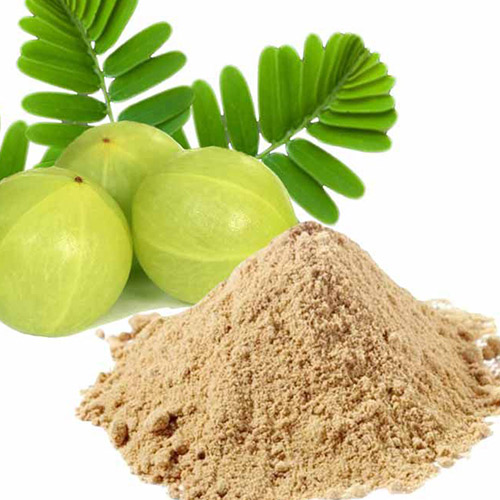 AMLA POWDER - 100 Gm