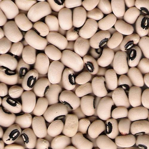 Soya Beans