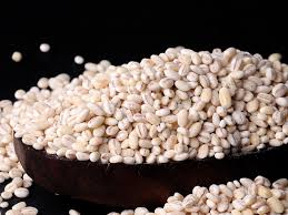 Barley Seeds 1kg