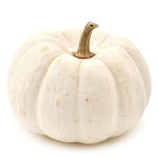 WHITE PUMPKIN (1.5 TO 2.5 KG) - 1 PCS