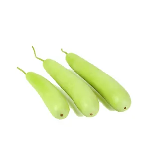 Bottle Gourd 1pc