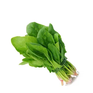 Leafy Chukkakura