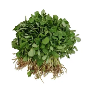 Leafy Methi