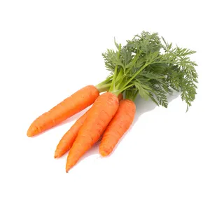 CARROT - 500 GM