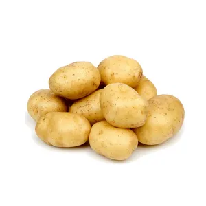 POTATO - 500 GM