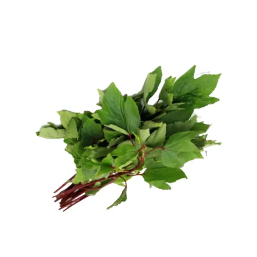 Leafy Gongura