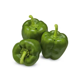 CAPSICUM - 500 GM