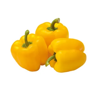 YELLOW CAPSICUM - 500 GMS