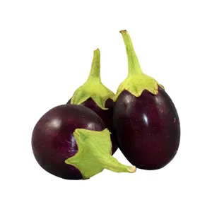 BRINJAL PURPLE ROUND - 500 GM