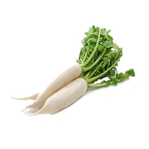 RADISH - 500 GM