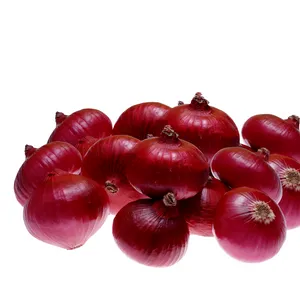 ONION - 1 KG