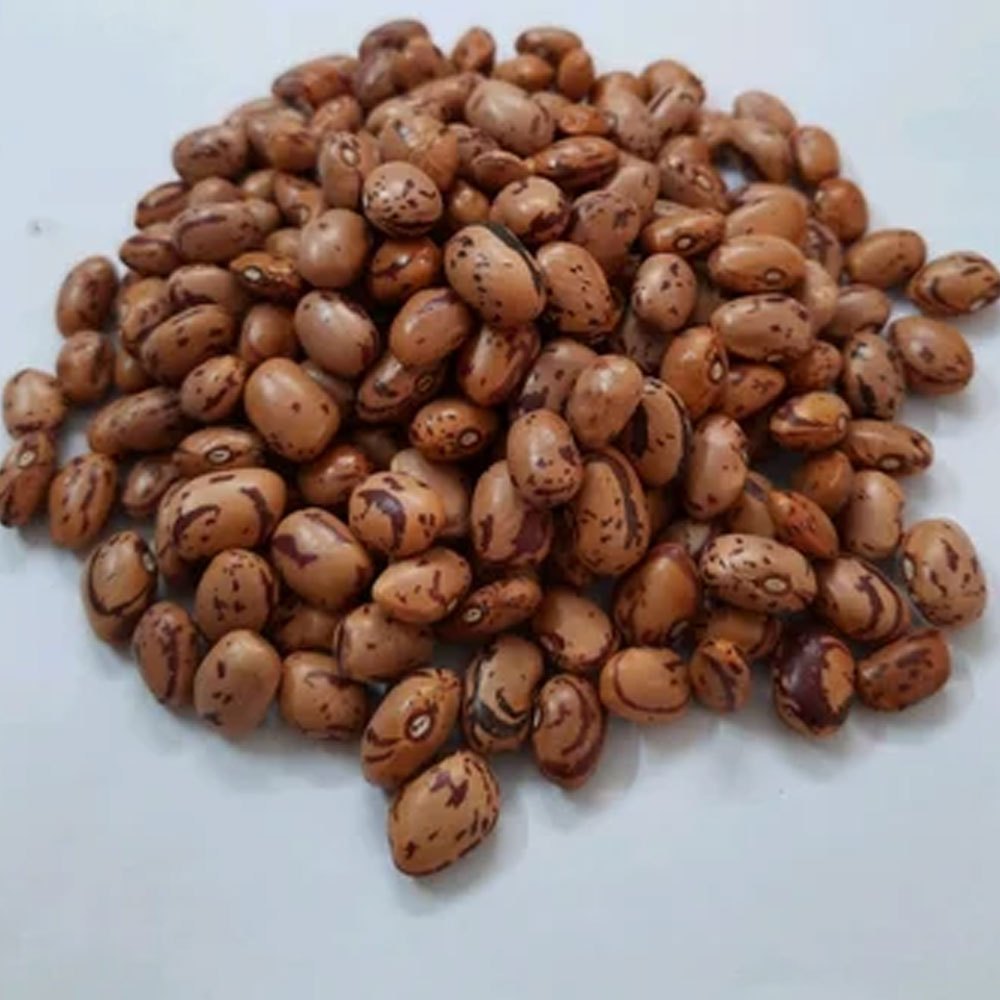 Organic Brown Rajma