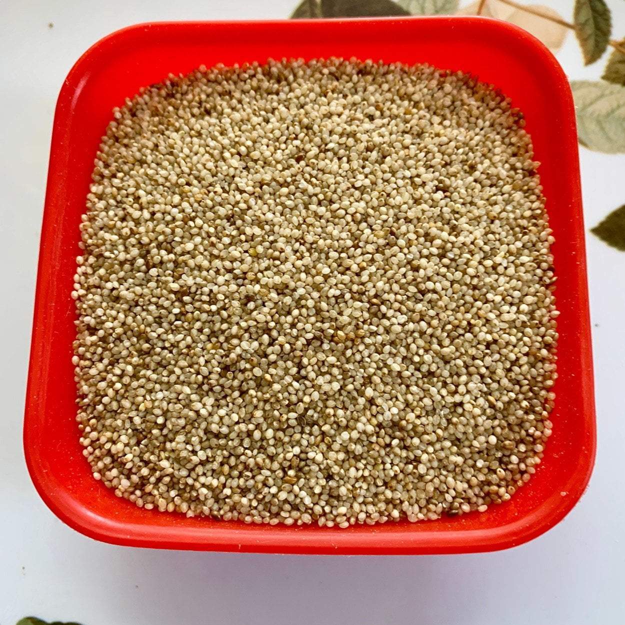 Barnyard Whole 1kg millet