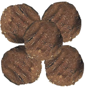 Cowdunk cake big
